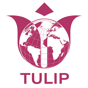 Tulip Co LLC Logo